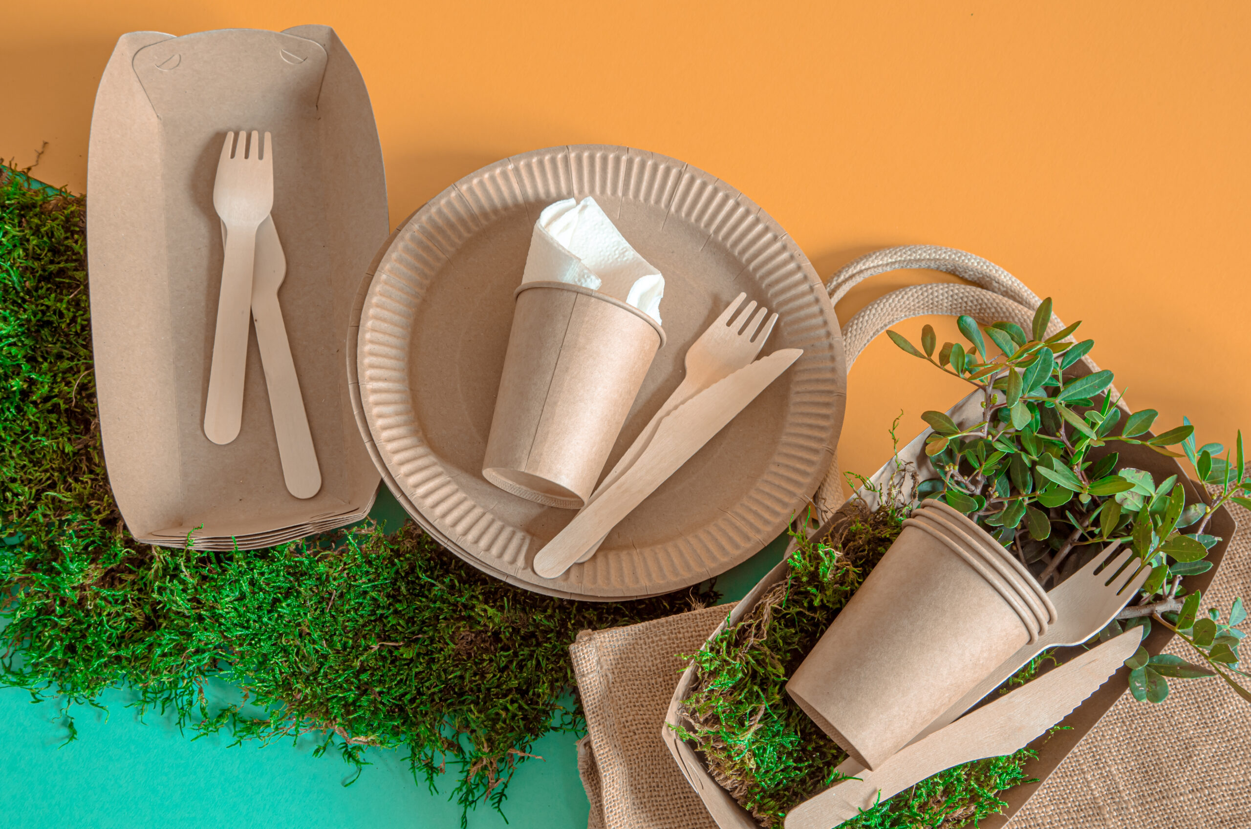 Pappedeckel: The Sustainable Future of Packaging