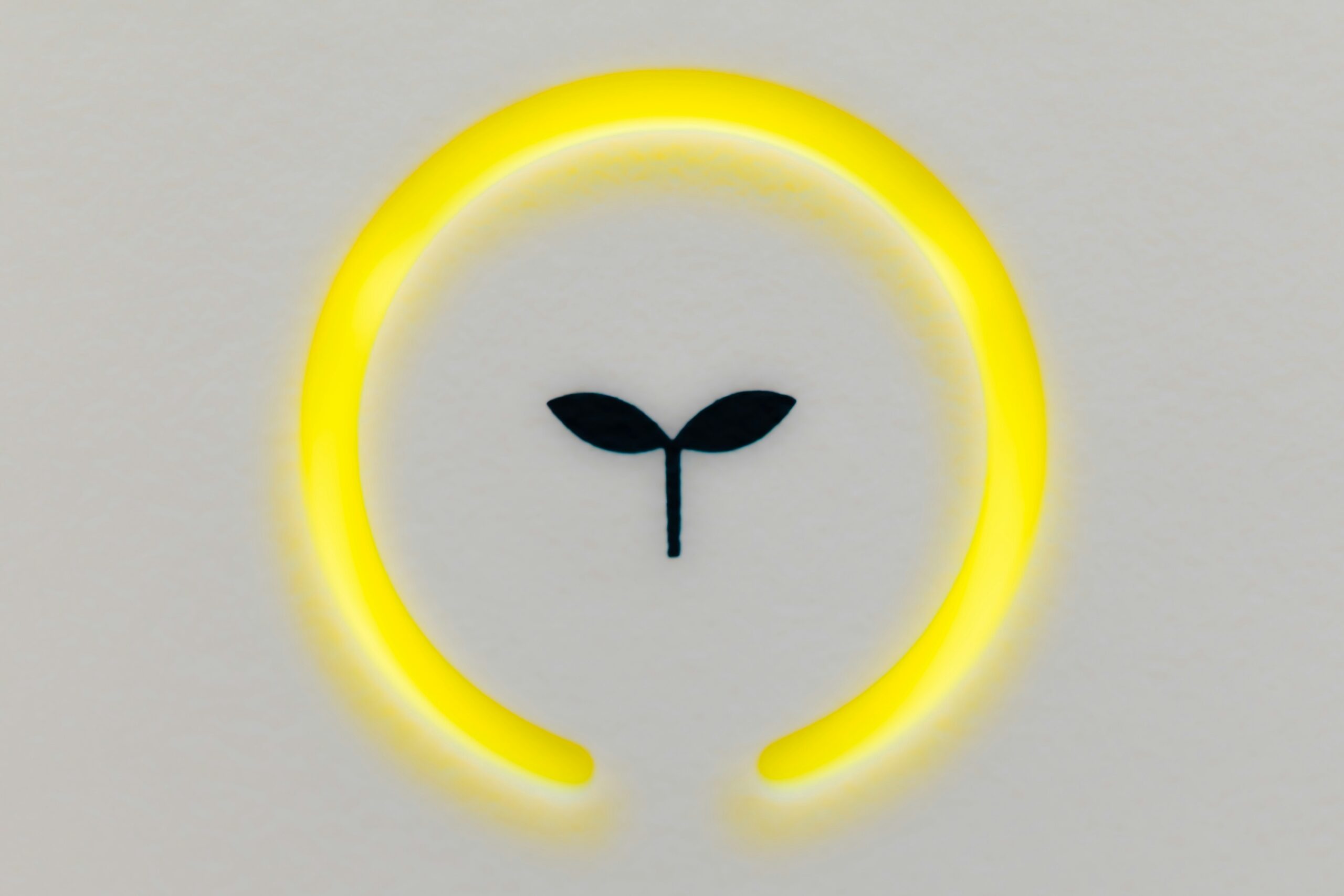 Aurö: A Symbol of Quality and Progress