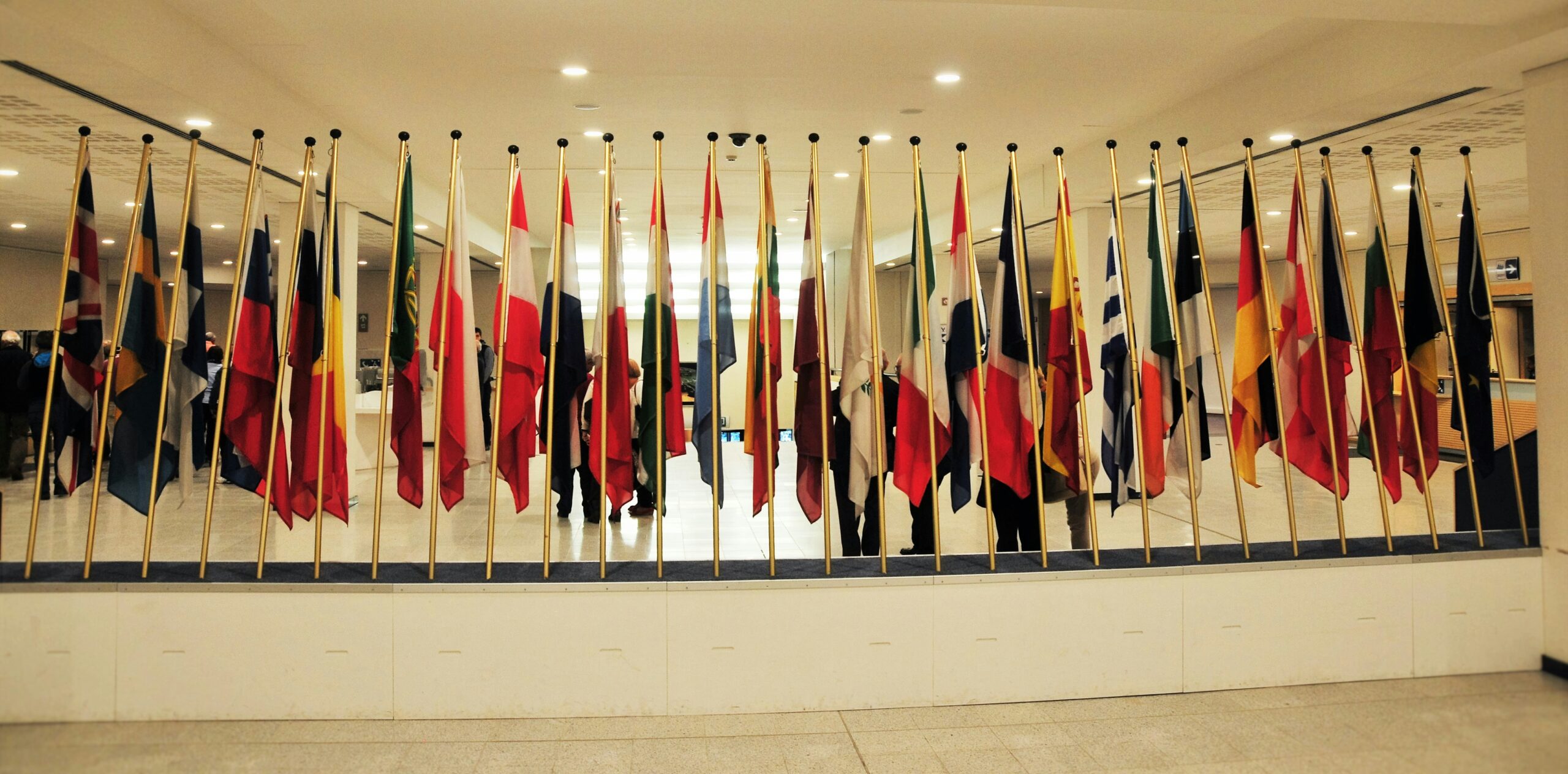 European Law Students Association: Empowering Future Legal Professionals